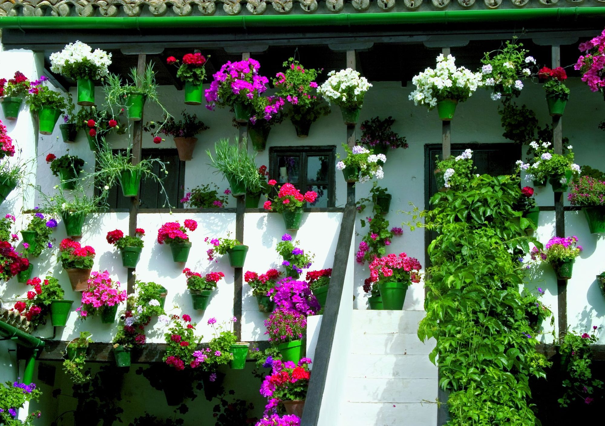 tours guiados los Patios de Córdoba